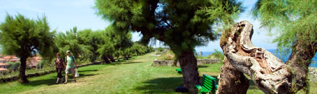 Cabecera Zonas Footing