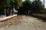 Bolera de Poo