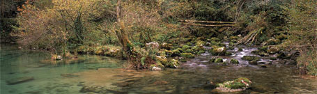 Cabecera Medio Ambiente