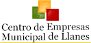 Enlace a web centro de empresas